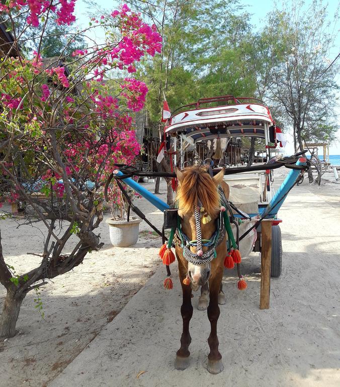 Kai'S Beach House Villa Gili Air Ngoại thất bức ảnh